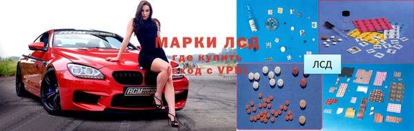 винт Ельня
