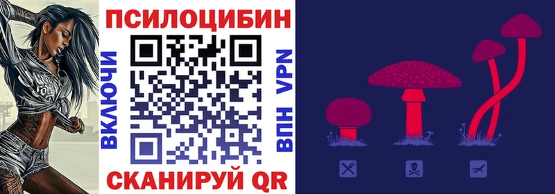 Купить где  Томилино  Галлюциногенные грибы Cubensis 